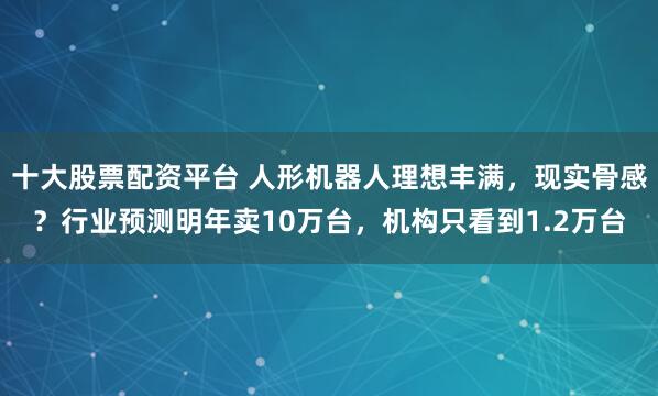 十大股票配资平台 人形机器人理想丰满，现实骨感？行业预测明年卖10万台，机构只看到1.2万台
